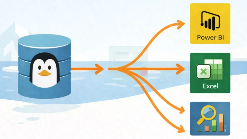 Análisis y exportación